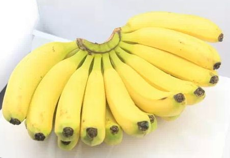 新生儿拉肚子吃什么好的最快_新生儿拉了就吃是不是正常的_新生儿拉完肚子后该喂奶吗