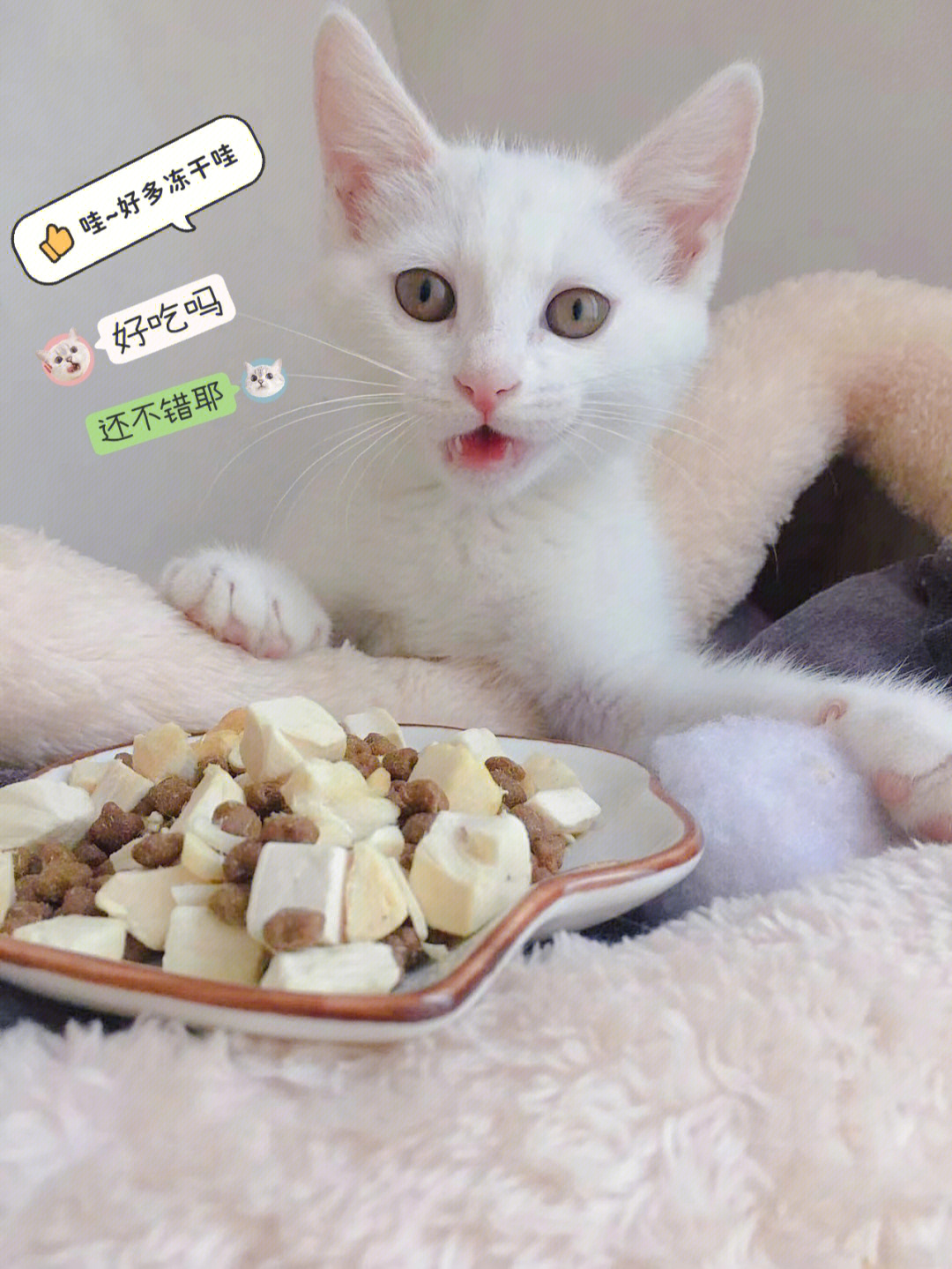 小猫做菜游戏_小猫做菜游戏教案_小猫做菜游戏教案中班