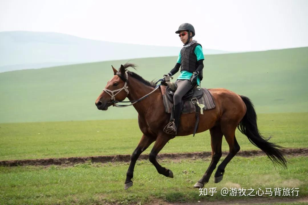 运行驰骋自由游戏是什么_运行驰骋自由游戏的软件_驰骋运行 - 自由运行游戏