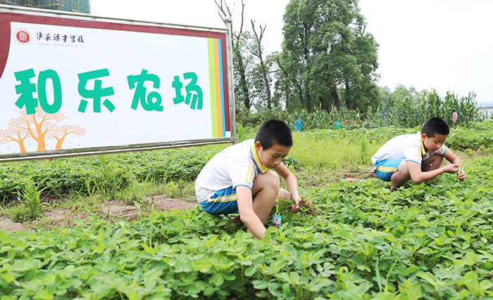 好玩农场游戏推荐_农场游戏哪个最好玩_好玩农场游戏手机版