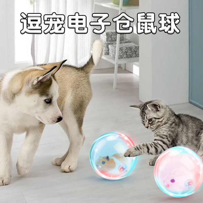 电动仓鼠球_电动仓鼠球小白兔板_电动仓鼠球steam