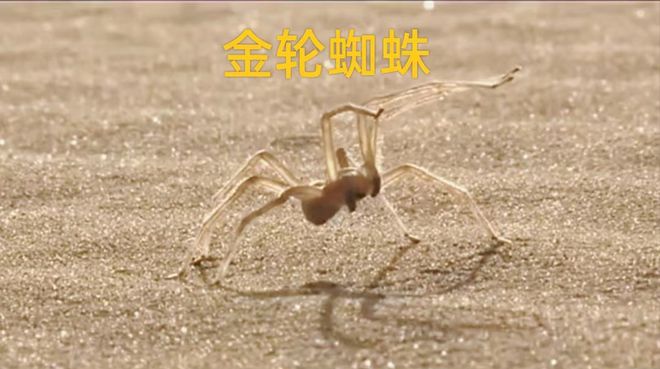 暴力摩托2004秘籍大全_暴力摩托车秘籍_暴力摩托2004秘籍