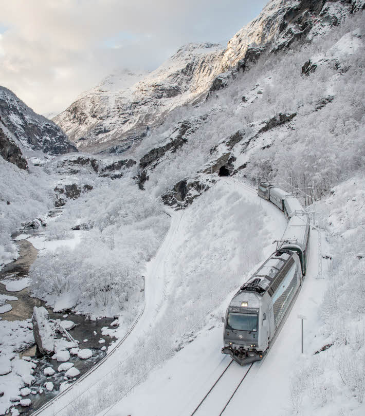 雪怪4遭遇雪怪_雪怪大冒险_雪怪