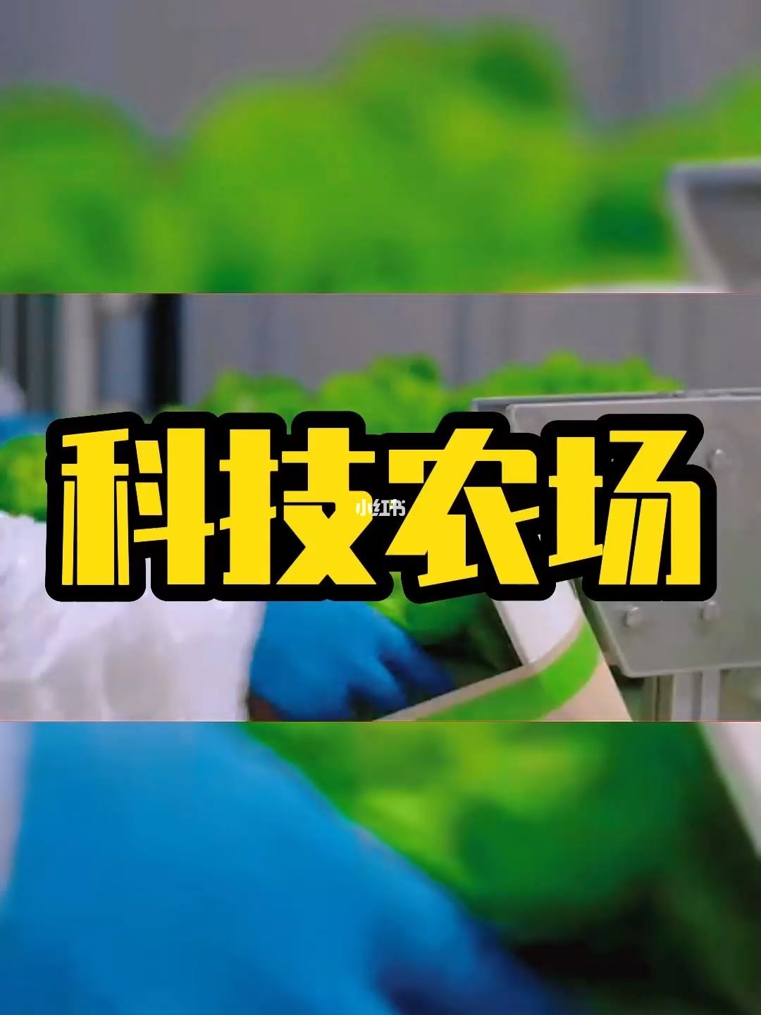 疯狂农场5_农场疯狂2_疯狂农场3下载手机版
