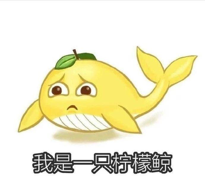 创意表情包设计达人，让你笑出声