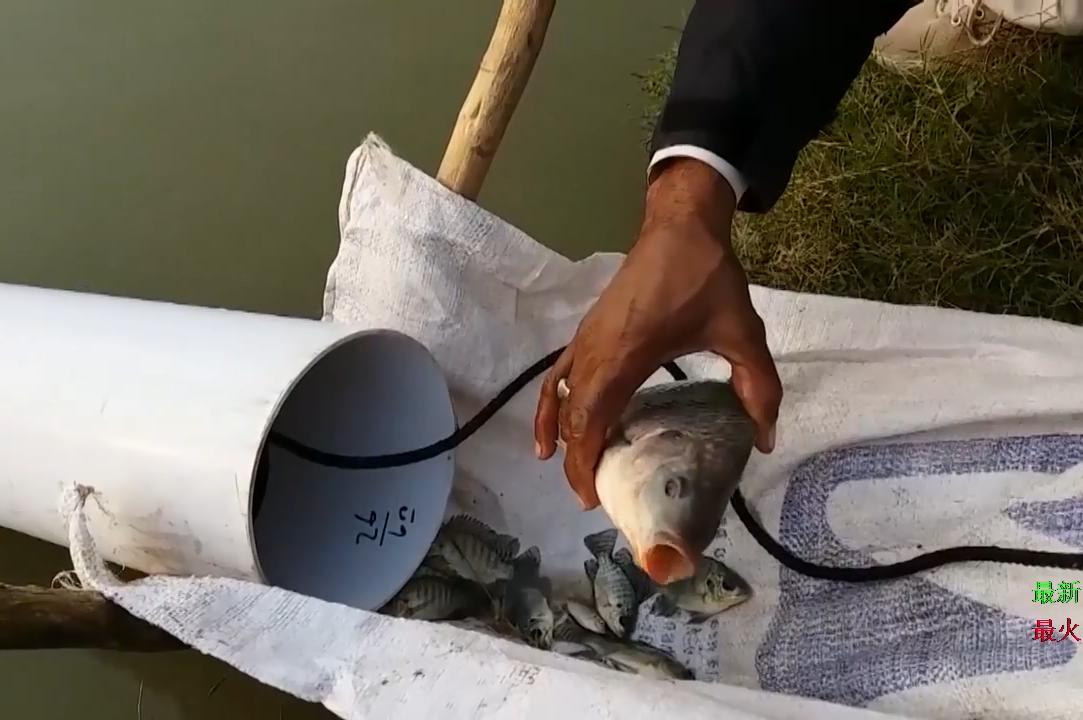 捕鱼赚钱_捕鱼赚钱是真的吗_捕鱼赚钱游戏