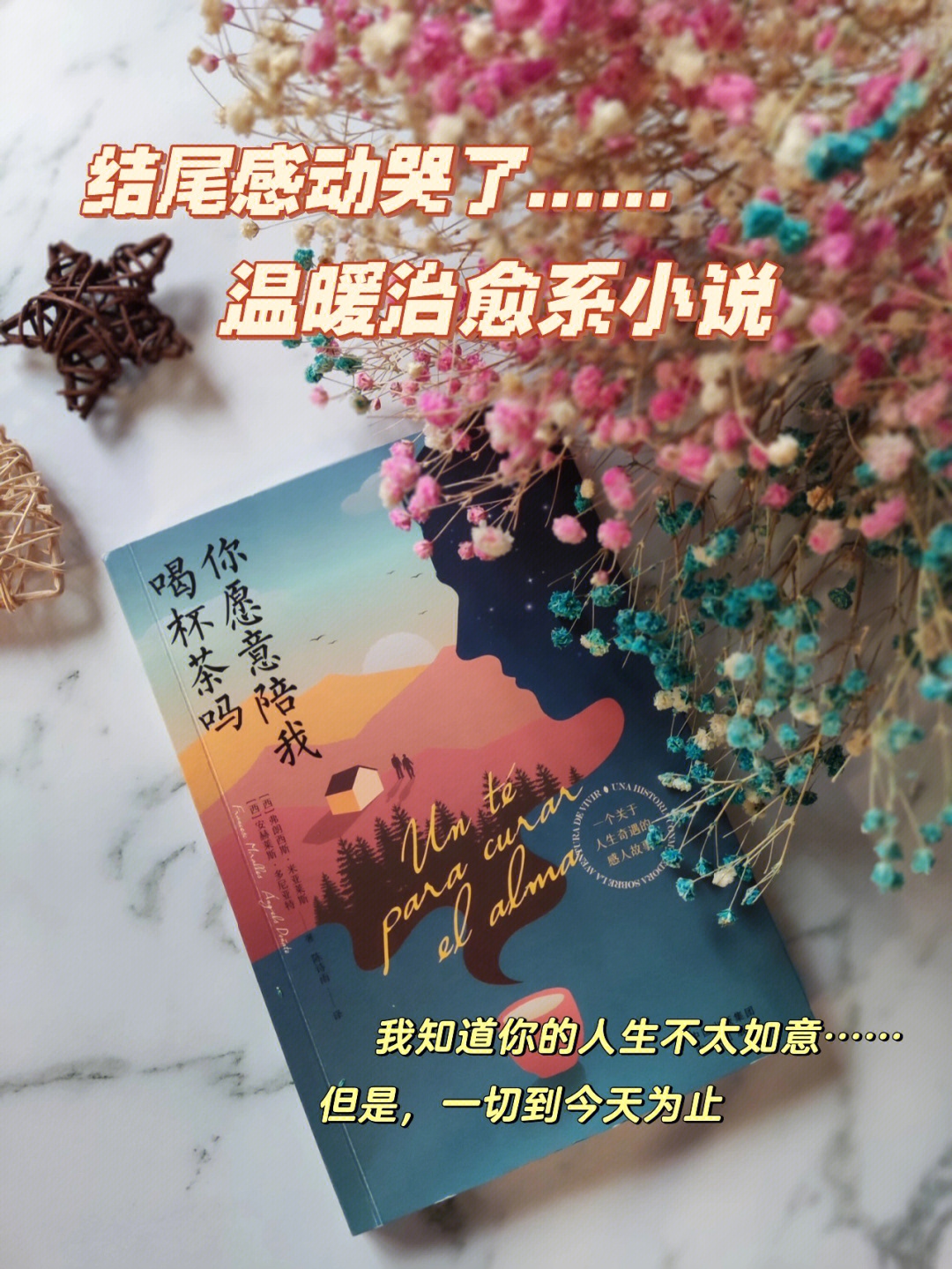 神鹤万心_神鹤万心_神鹤万心
