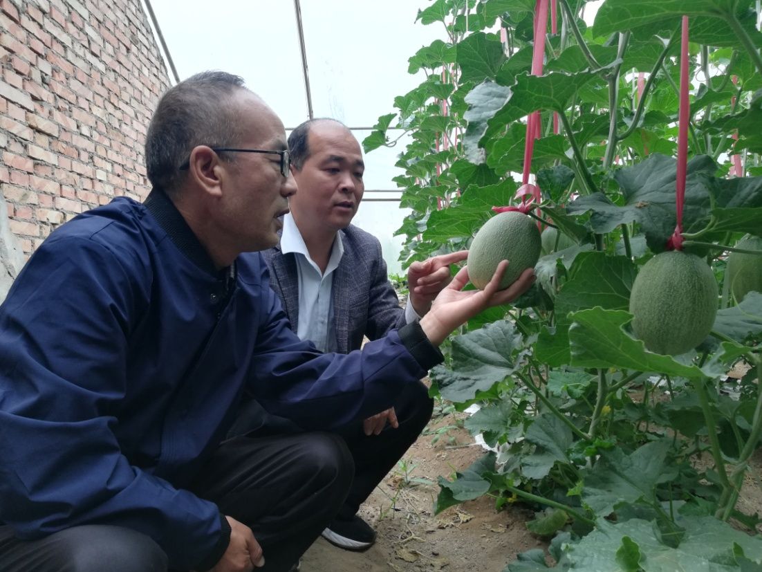 甜瓜乐园正版下载_甜瓜游乐场最新版本_甜瓜乐园中文版下载