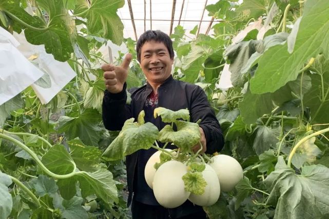 甜瓜乐园中文版下载_甜瓜乐园正版下载_甜瓜游乐场最新版本