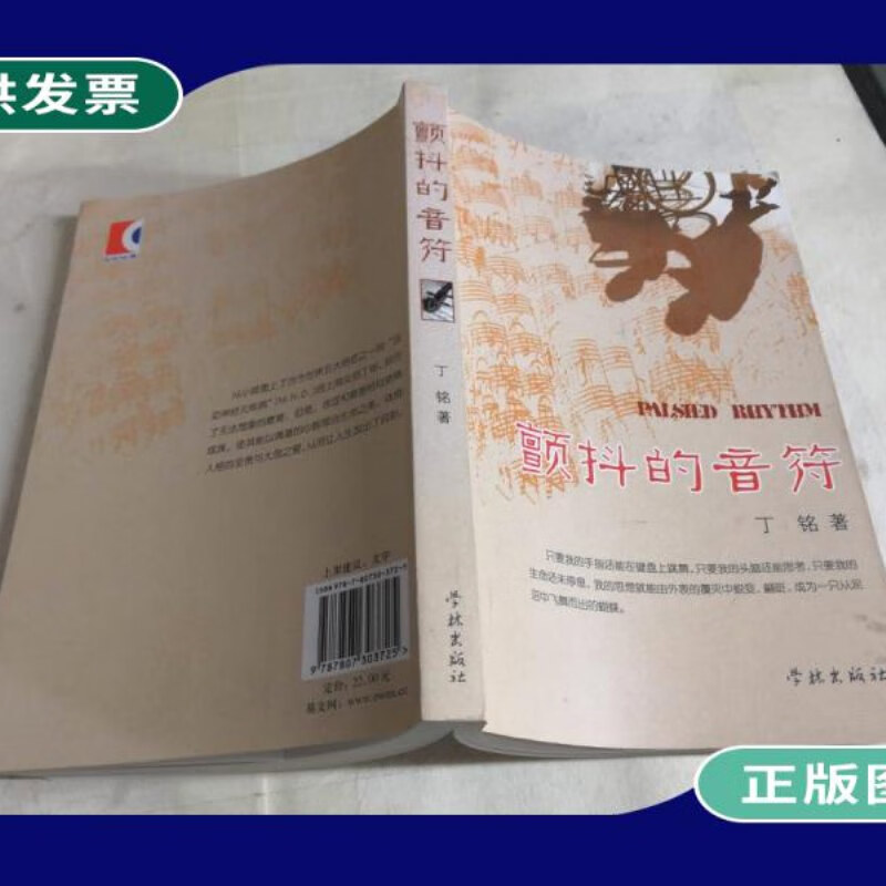 颤动无限，我的世界疯狂迸发