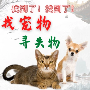 找字母圈的软件_字母圈找狗容易的软件_字母圈狗什么意思