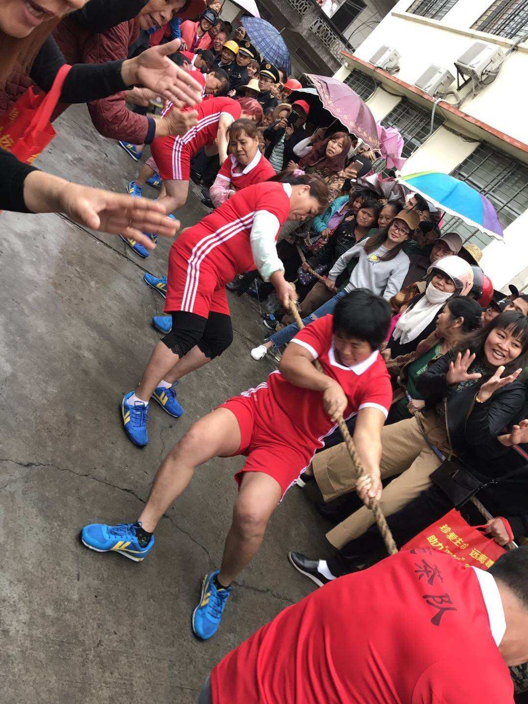 疯狂联盟下架了吗_疯狂联盟_疯狂联盟有没有手机版
