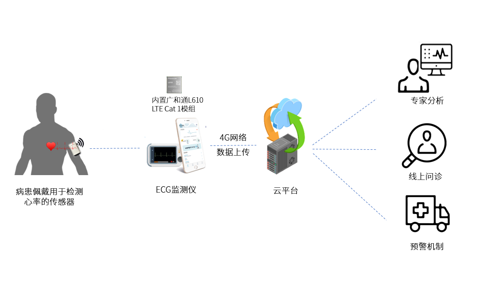 第五世代_世代皇茶_世代是什么意思