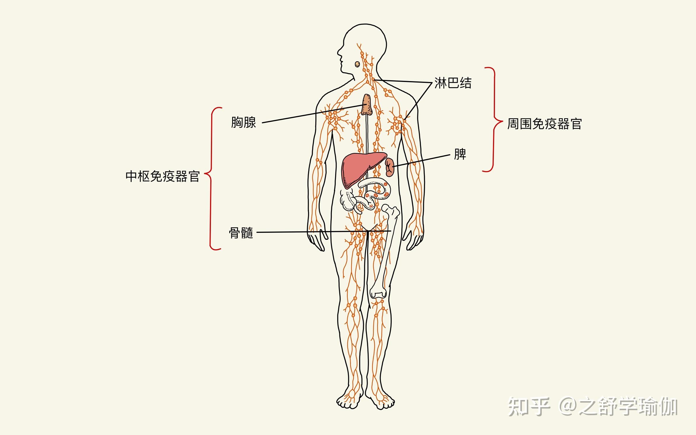 人体游戏_人体游戏_人体游戏