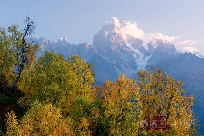 秋山好古结婚_秋山好古_秋山好古谏山创