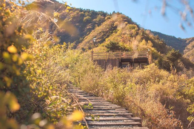 秋山好古结婚_秋山好古谏山创_秋山好古