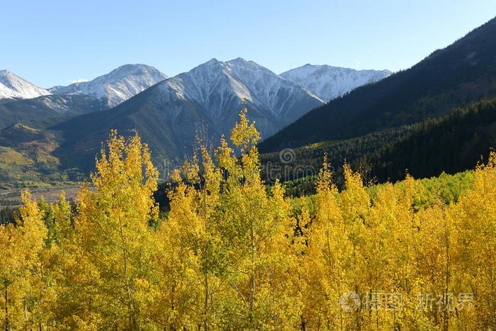 秋山好古谏山创_秋山好古_秋山好古结婚