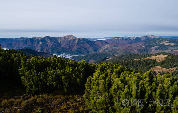 秋山好古结婚_秋山好古_秋山好古谏山创