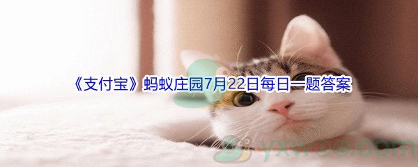 逃出庄园日本动漫_逃离庄园攻略图解_逃出日本庄园