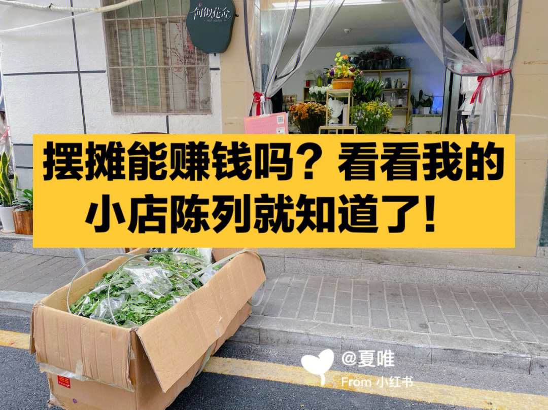 赚生活下载_赚钱生活app下载_小森生活怎么赚钱最快