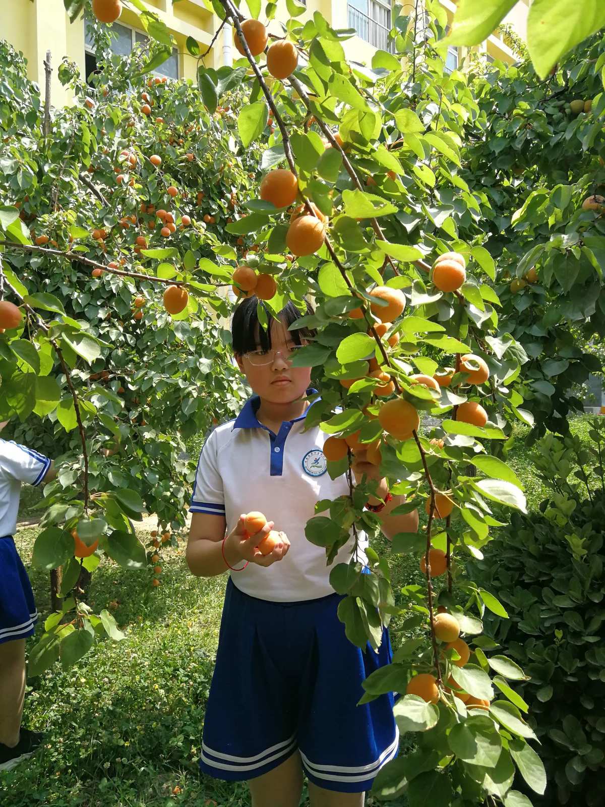 杏8有你地址一地址二_杏8有你地址一地址二_杏8有你地址一地址二