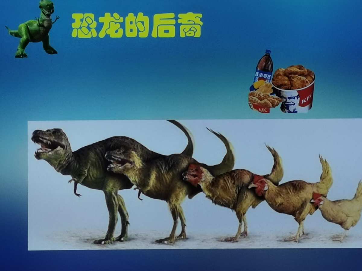 央实海边的异邦人_实央_央实和骏