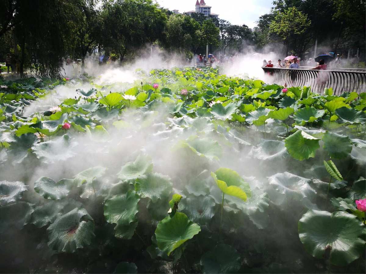 一道残阳铺水中_仙水中学_水中仙