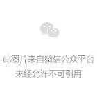 手机可以玩的绅士游戏_绅士玩手机游戏可以联机吗_绅士玩手机游戏可以玩什么