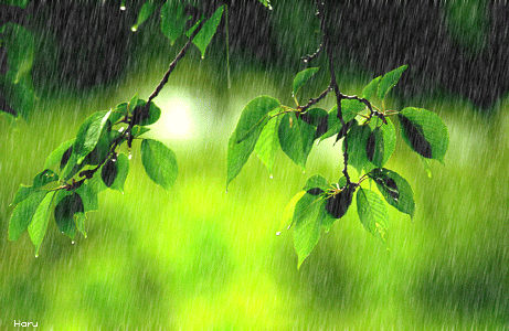清明时节雨纷纷_清明时清明时节雨纷纷全诗_清明时节雨下一句是什么