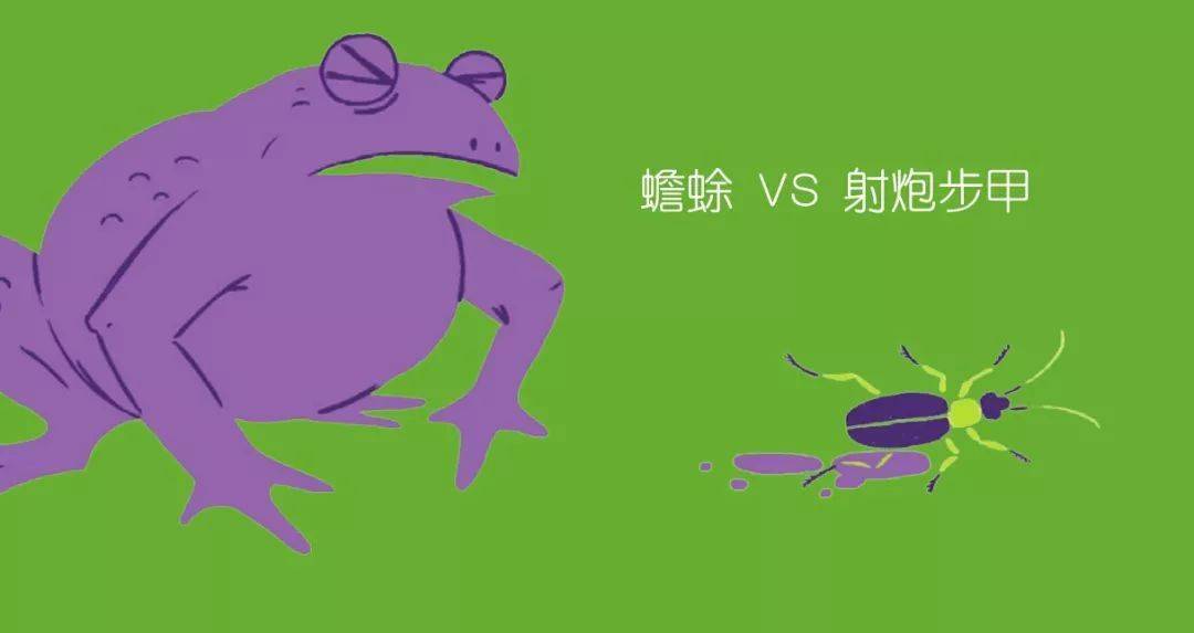 泰瑞鸭嘴兽破解版_鸭嘴兽泰瑞_泰瑞鸭嘴兽表情包