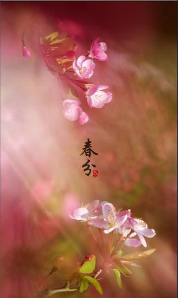 2021年芒种是个吉利日子吗_2021年芒种是农历几月几日_2023年芒种是几月几日