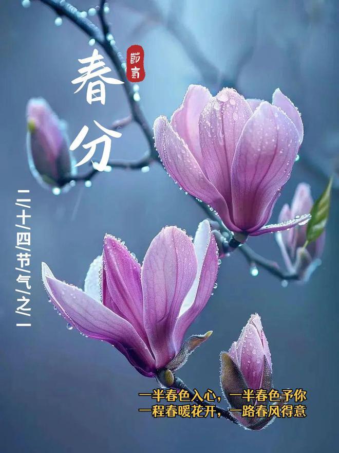 玩游戏黑白屏_黑白屏打开手机游戏闪退_手机打开游戏黑白屏