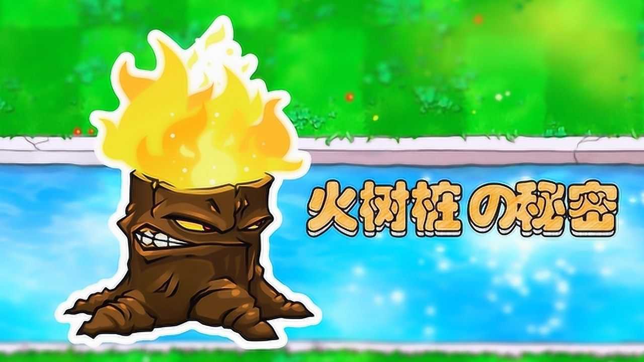 三线射手_三线射手的成长史_三线射手有什么用