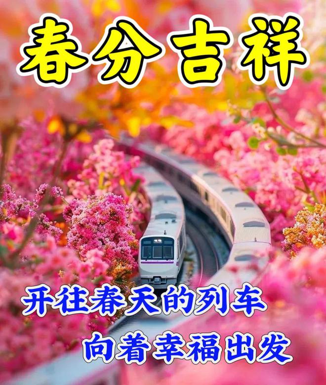 佟心竹_佟心竹_佟心竹