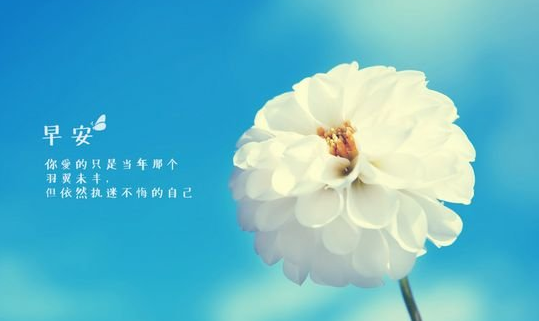 声优天目仁美_生天目仁美结婚的对象_生天目仁美