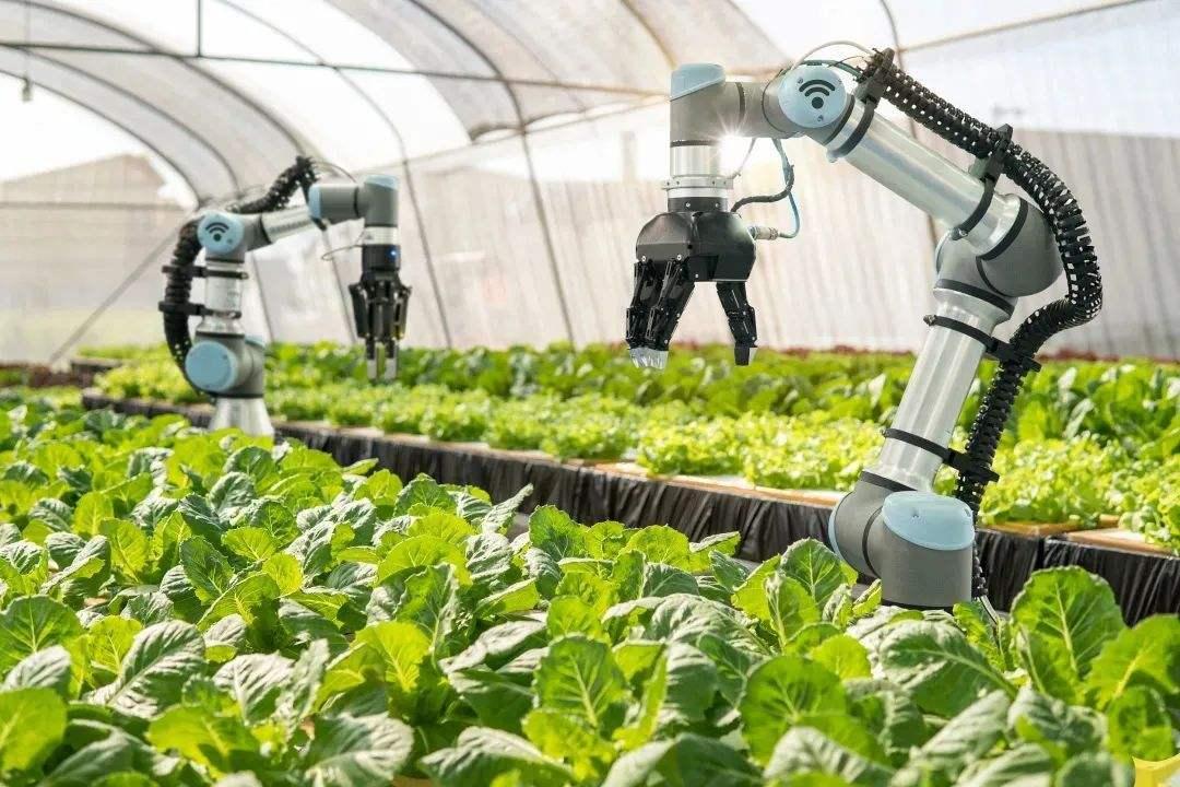 强国的扫一扫在哪里_强国二维码_强国挑战答题扫一扫