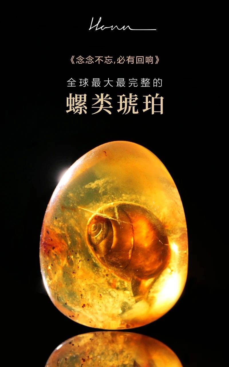 蜻蜓助手下载_蜻蜓手机游戏助手_蜻蜓手游下载网