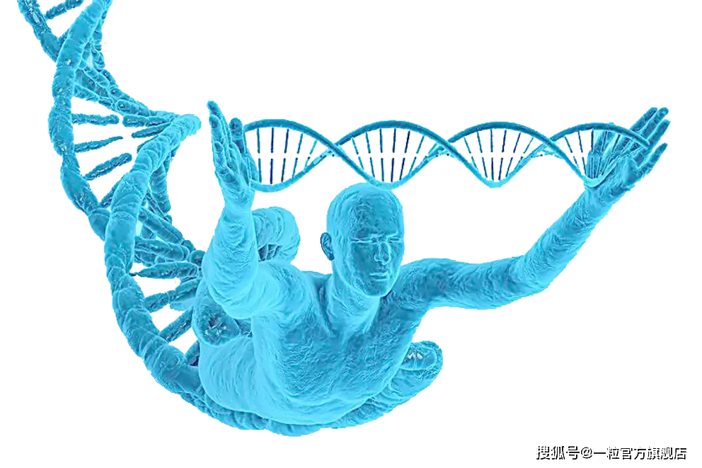 钱包怎么使用门禁卡_钱包使用方法_门罗钱包使用教程