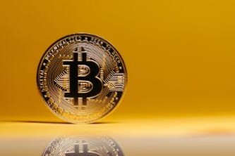 tp钱包使用_钱包使用时间_钱包使用方法