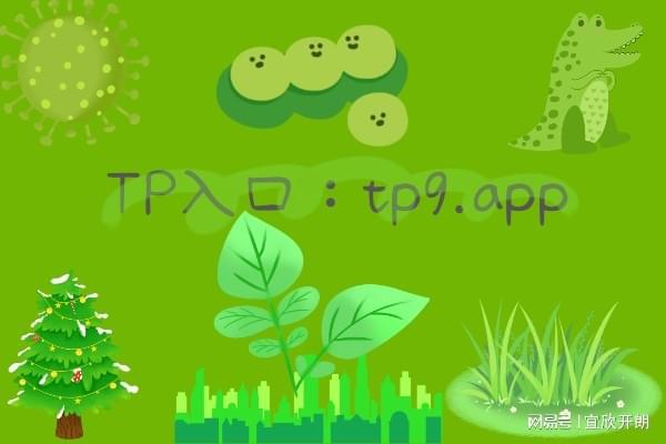 钱包端核身_tp钱包pc端_钱包端口