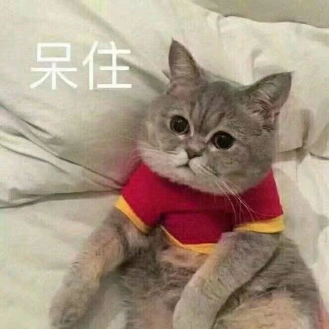 和平演变策略的主旨_和平演变的案例_手机 游戏 和平演变论文