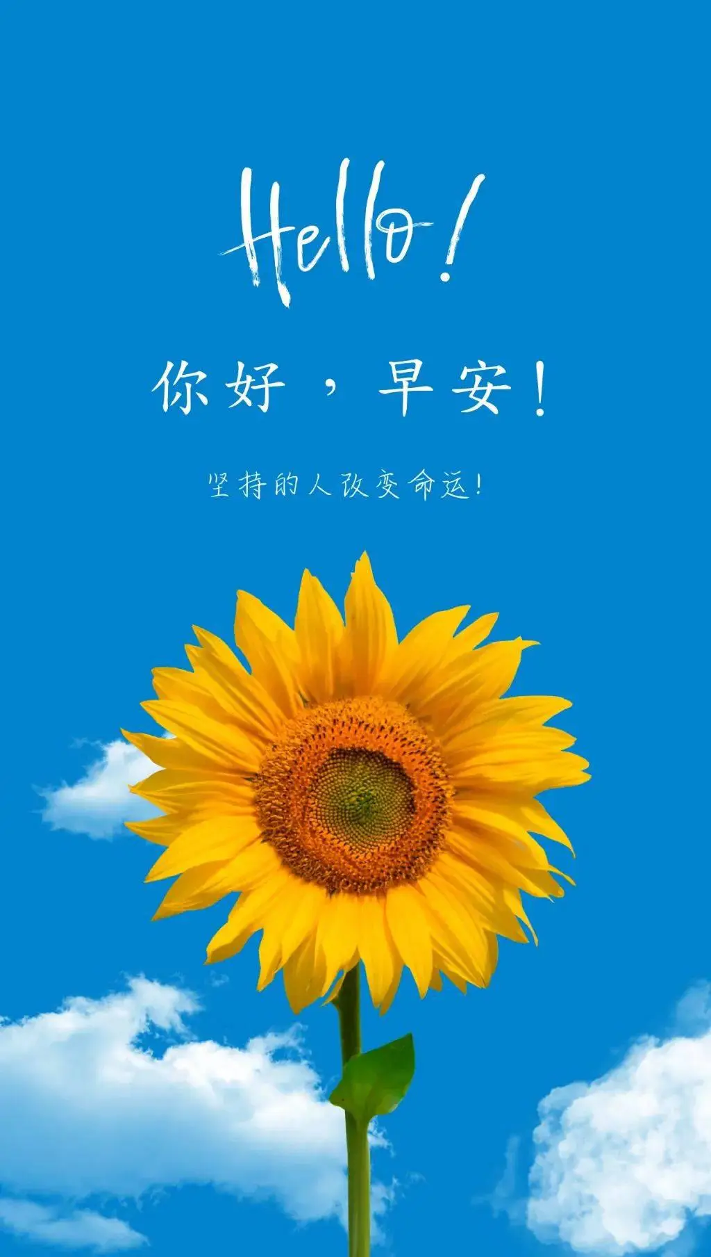 治愈又温馨的手机游戏_治愈温馨手机游戏推荐_治愈温馨的游戏