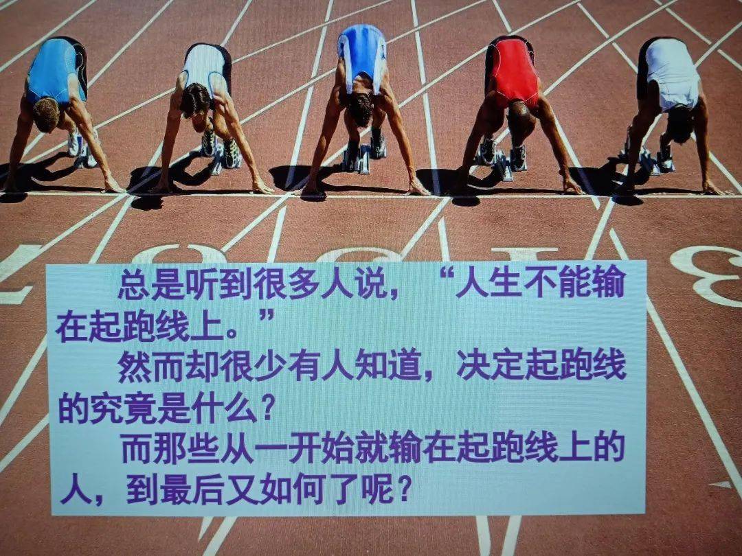 百兽王动画片_百兽王_百兽王是什么生肖