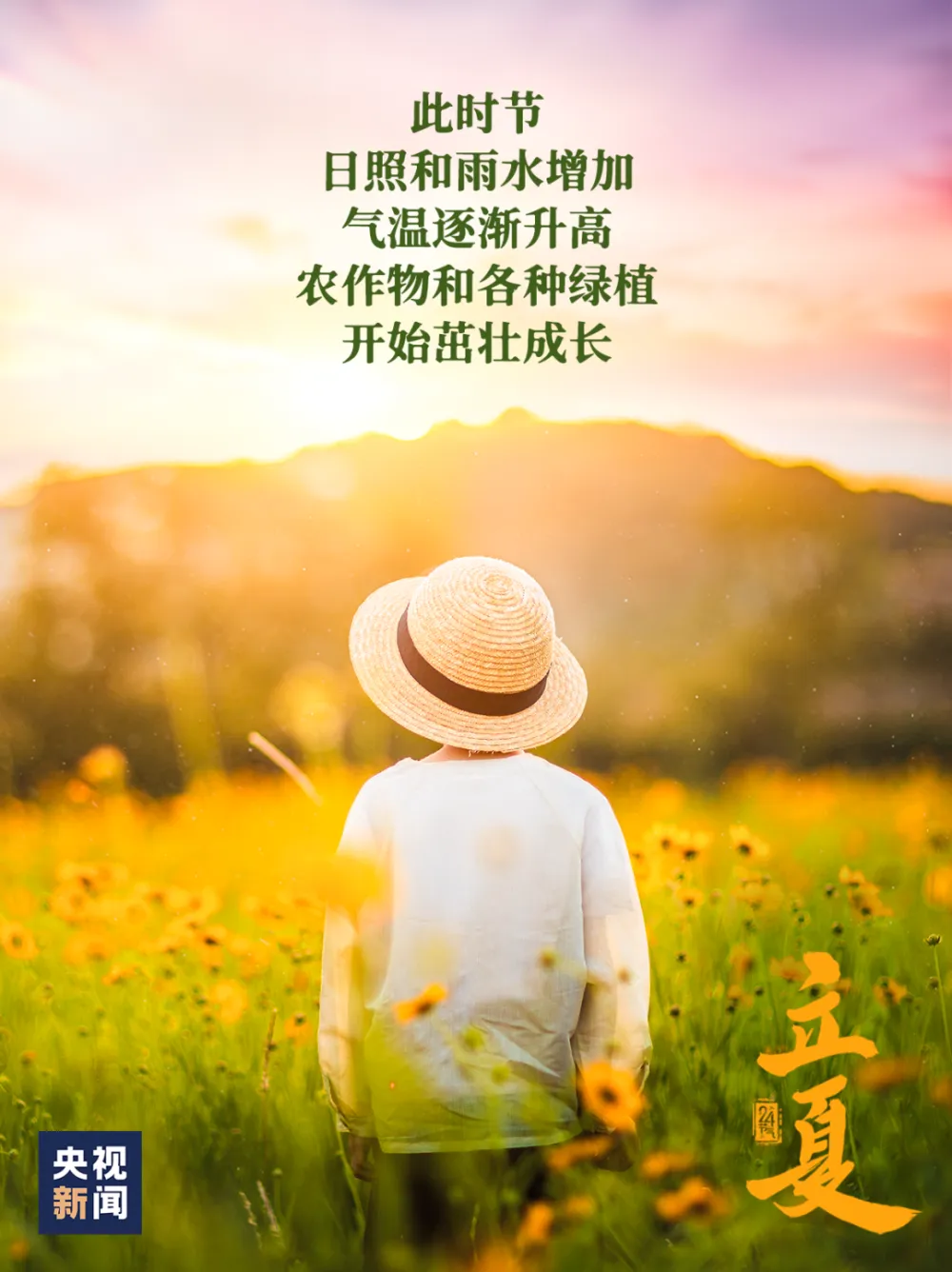 立夏一候_立夏一候_立夏一候