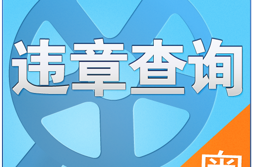 违章查看图片历史怎么查_违章查看图片历史信息_怎么查看历史违章图片