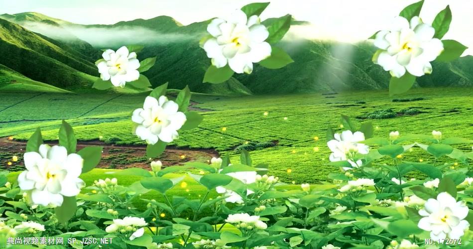 添加链接_添加sol链_tp 如何添加zsc链