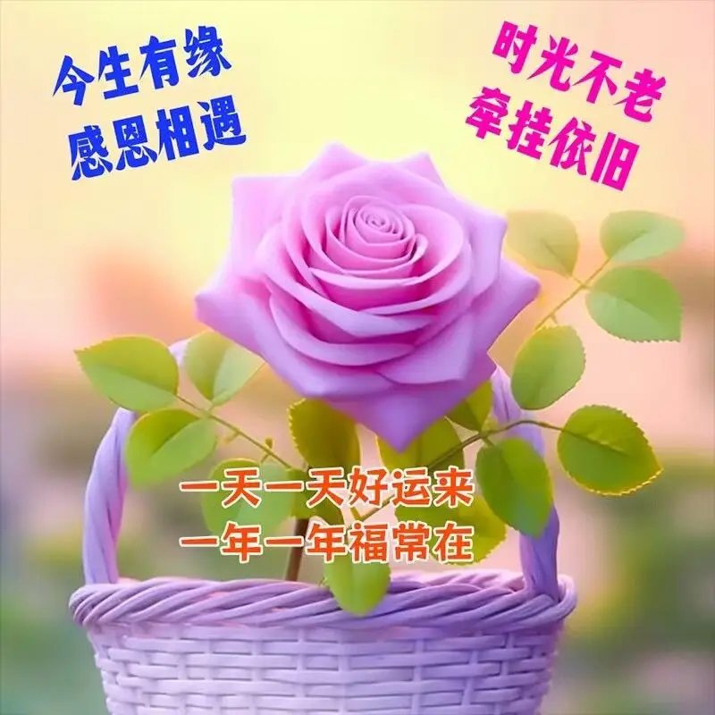 2014祝福语-2014 年祝福：愿你心情如阳光，事业如春花