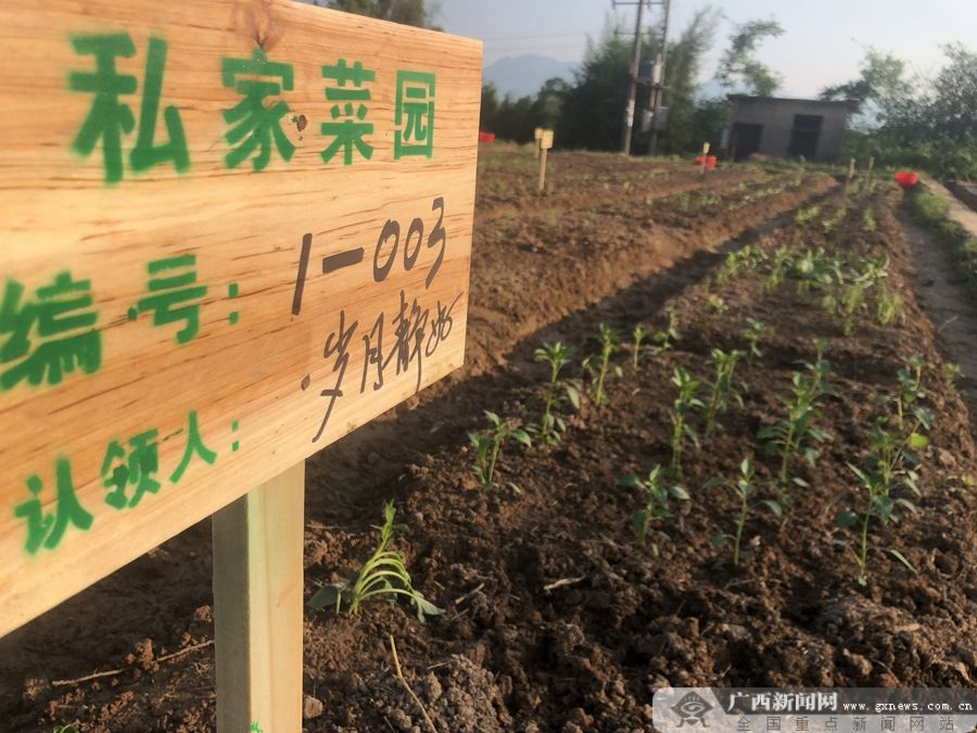 休闲种菜手机游戏大全_种菜休闲手机游戏_休闲种菜手机游戏有哪些