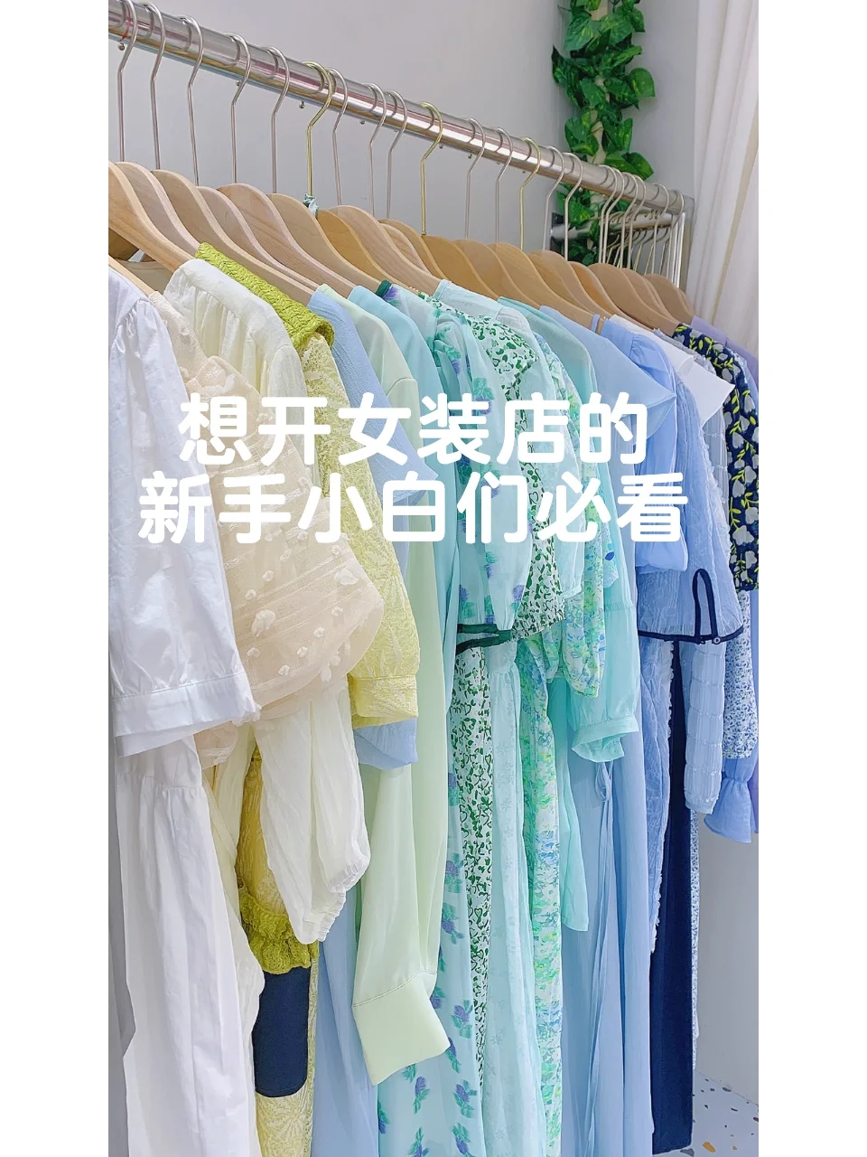 开小店新手橱窗怎么做_开商品橱窗_新手先开橱窗还是先开小店