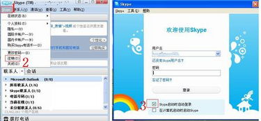 skype怎样设置密码登录,轻松实现账户安全